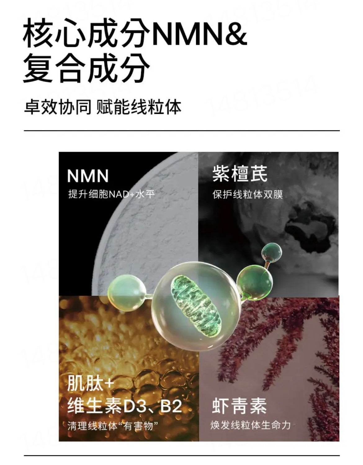 【P732】💥新会员限时专享💥✨开启细胞新生✨ SRW CEL² 细胞赋活营养胶囊 🩶