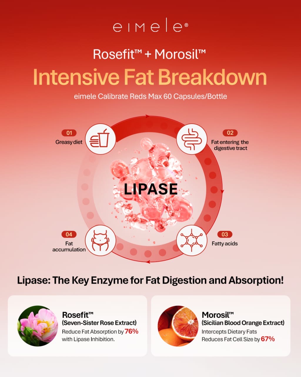 【P718】💥新会员限时专享💥✨阻燃排三合一✨升级版2.0亦餐配套组 💖