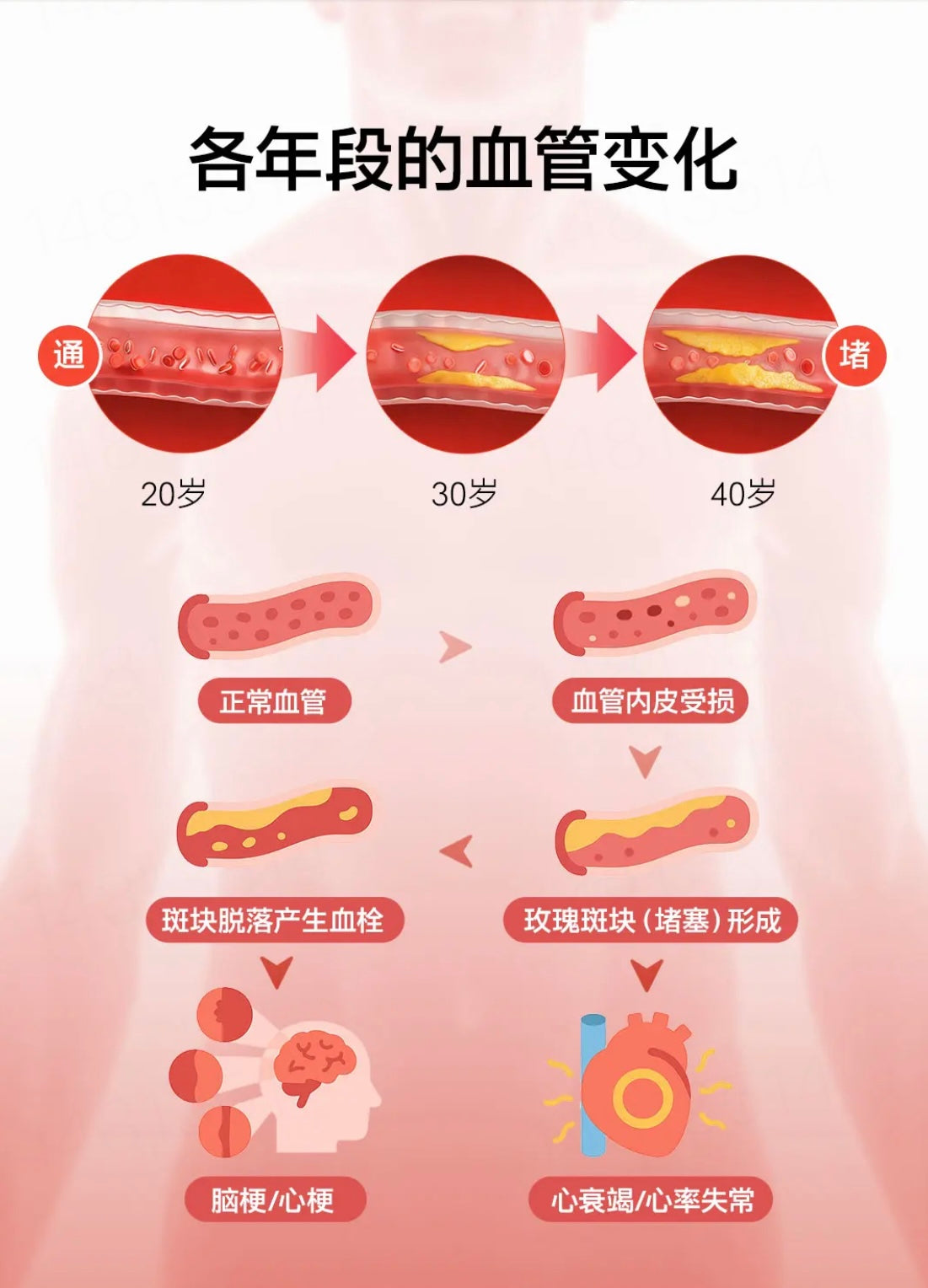 【P729】💥新会员限时专享💥✨健康管理✨TheroNomic 心血管三生元胶囊套组 🧡