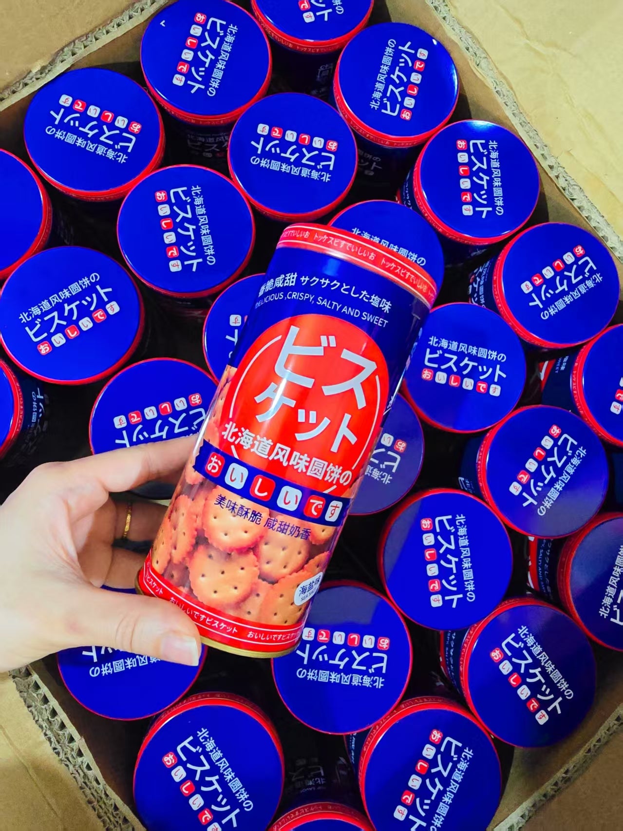 【F2054】北海道日式小圆饼奶香饼干海盐味休闲零食罐装 ❤️🍪
