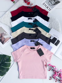 【T80792-2】【直播间搭配款】独家爆款高品质纯棉弹力圆领短袖简约日常百搭款上衣 #衣柜必入手百搭款 ❤❤ 【A-R1-C3】