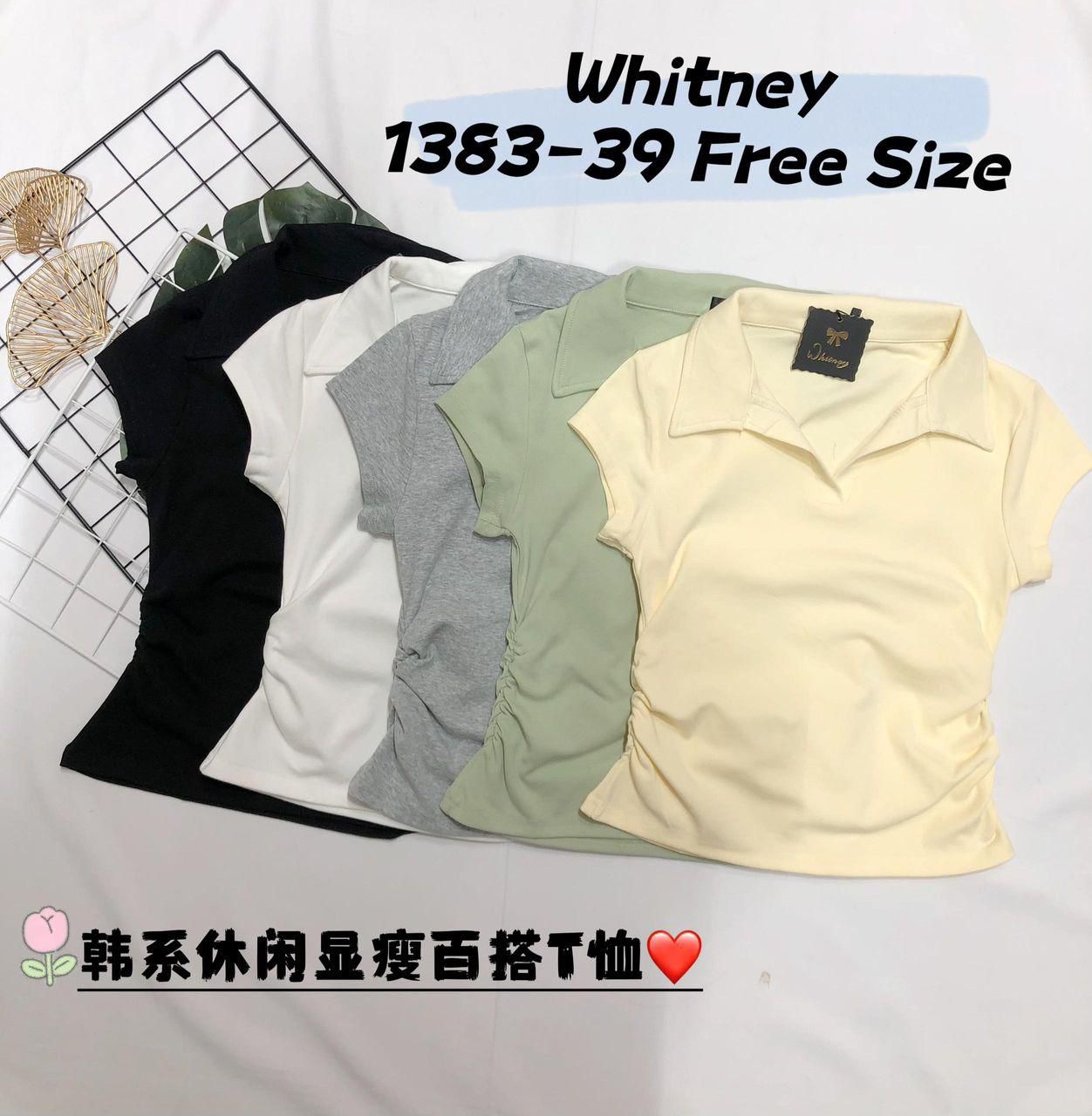 【T1383】高品质纯棉弹力修身版型翻领短袖百搭上衣 ❤️❤️