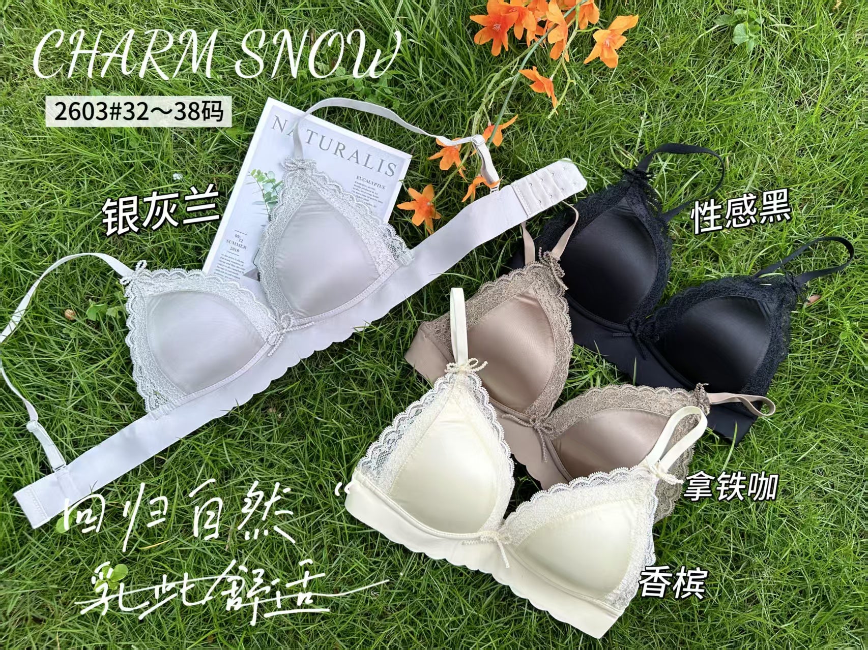 【A2603】🌟现货🌟 高质量性感聚拢蕾丝无痕无钢圈内衣 ❤️